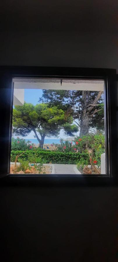 Apartamento Frente Al Mar Alcossebre Eksteriør bilde